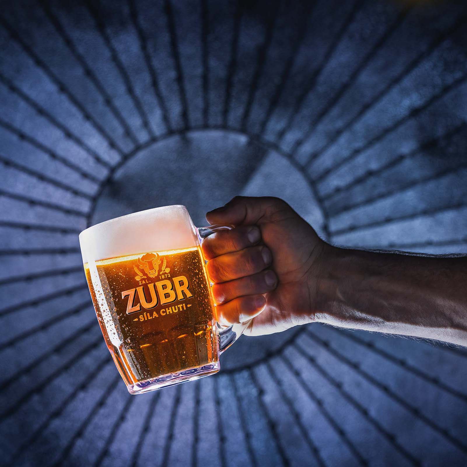 ZUBR